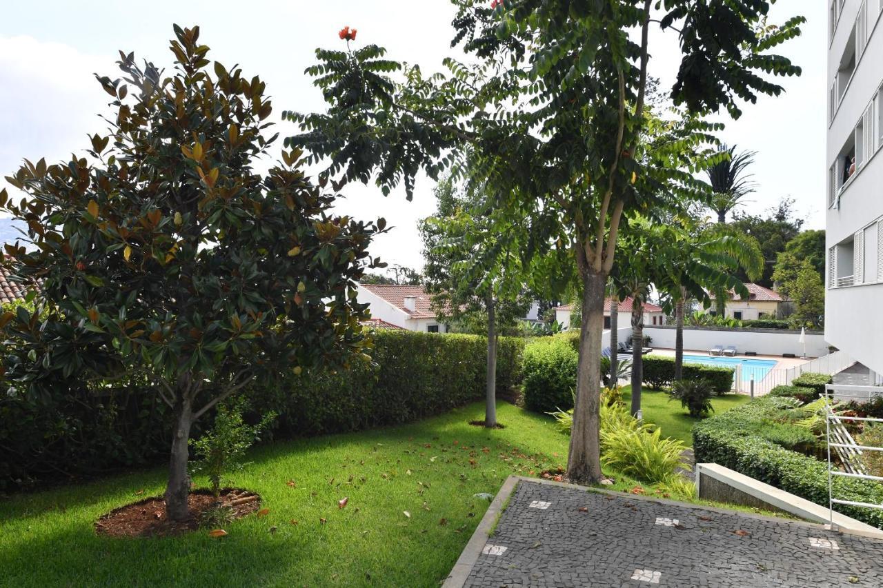 Villa Jasmineiro Funchal Dış mekan fotoğraf